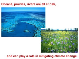 Oceans, prairies, rivers are all at risk, and can play a role in mitigating climate change. 