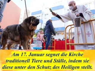 Am 17. Januar segnet die Kirche
traditionell Tiere und Ställe, indem sie
diese unter den Schutz des Heiligen stellt.
 