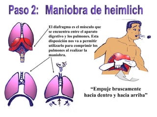 Maniobra de heimlich Paso 2: El diafragma es el músculo que se encuentra entre el aparato digestivo y los pulmones. Esta disposición nos va a permitir utilizarlo para comprimir los pulmones al realizar la maniobra. “ Empuje bruscamente hacia dentro y hacia arriba” 