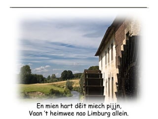 En mien hart dêit miech pijjn, Vaan ’t heimwee nao Limburg allein.   