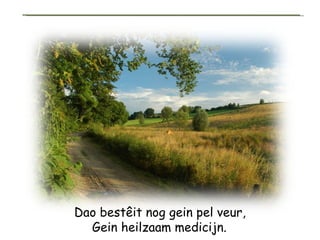 Dao bestêit nog gein pel veur, Gein heilzaam medicijn.   