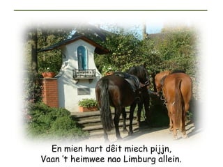 En mien hart dêit miech pijjn, Vaan ’t heimwee nao Limburg allein.   