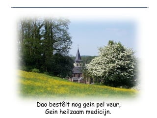 Dao bestêit nog gein pel veur, Gein heilzaam medicijn.   