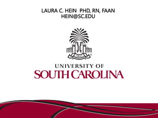 LAURA C. HEIN PHD, RN, FAAN
HEIN@SC.EDU
 