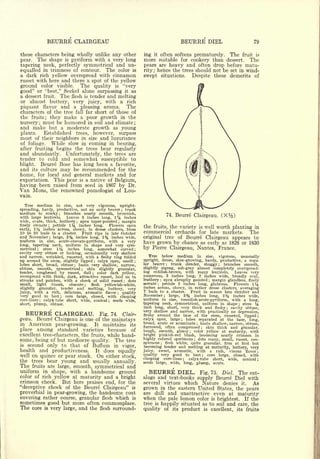 BEURRE CLAIRGEAU                                                                              BEURRE DIEL                                 79


these characters being wholly unlike any other                                 ing      often softens prematurely. The fruit is
                                                                                         it

pear. The shape is pyriform with a very long                                   more    suitable for cookery than dessert.   The
tapering neck, perfectly symmetrical and un-                                   pears are heavy and often drop before matu-
equalled in trimness of contour. The color is                                  rity ; hence the trees should not be set in wind-
a dark rich yellow overspread with cinnamon                                    swept situations.     Despite these demerits of
russet with here and there a spot of the yellow
ground color visible. The quality is "very
good" or "best," Seckel alone surpassing it as
a dessert fruit. The flesh is tender and melting
or almost buttery, very juicy, with a rich
piquant flavor and a pleasing aroma.         The
characters of the tree fall far short of those of
the fruits; they make a poor growth in the
nursery; must be humored in soil and climate;
and make but a moderate growth as young
plants.   Established trees, however, surpass
most of their neighbors in size and luxuriance
of foliage.   While slow in coming in bearing,
after fruiting begins the trees bear regularly
and abundantly. Unfortunately, the trees are
tender to cold and somewhat susceptible to
blight. Beurre Bosc has long been a favorite,
and its culture may be recommended for the
home, for local and general markets and for
exportation. This pear is a native of Belgium,
having been raised from seed in 1807 by Dr.
Van Mons, the renowned pomologist of Lou-
vain.

   Tree medium in size, not very vigorous, upright-
spreading, hardy, productive, not an early bearer         trunk   ;

medium to stocky branches nearly smooth, brownish,
with large lenticels.
                         ;

                          Leaves 3 inches long, 1% inches
                                                                                                  74.    Beurre Clairgeau.                 (X%)
wide, ovate, thick, leathery     apex taper-pointed margin
                                 ;                            ;


finely crenate    petiole 1 ^4 inches long.      Flowers open                  the  fruits, the variety is well worth planting in
                 ;


early, 1% inches across, showy, in dense clusters, from
10 to 20 buds in a cluster.       Fruit ripe in late October                   commercial orchards for late markets. The
and' November     large, 3% inches long, 2% inches wide,
                     ;
                                                                               original tree of Beurre Clairgeau appears to
uniform in size, acute-obovate-pyriform, with a very                           have grown by chance as early as 1828 or 1830
long, tapering neck, uniform in shape and very sym-
metrical ;
            stem 1 *& inches long, somewhat curved                         ;
                                                                               by Pierre Clairgeau, Nantes, France.
cavity very obtuse or lacking, occasionally very shallow
and narrow, wrinkled, russeted, with a fleshy ring folded                         Tree below medium in size, vigorous, unusually
up around the stem, slightly lipped calyx open, small ;
                                           ;
                                                                               upright, dense, slow-growing, hardy, productive, a regu-
lobes short, broad, obtuse   ;
                                basin very shallow, narrow,                    lar bearer    trunk slender, shaggy
                                                                                                  ;                   branches smooth, ;


obtuse, smooth, symmetrical ; skin slightly granular,                          slightly zigzag, ash-gray almost completely overspread-
tender, roughened by russet, dull      ;   color dark yellow,                  ing reddish-brown,   with many lenticels.   Leaves very
overspread with thick, dark, attractive russet, laid on in                     numerous, 3 inches long, 2 inches wide, broadly oval,
streaks and patches, with a cheek of solid russet ; dots                       leathery apex abruptly pointed margin glandless, finely
                                                                                              ;                                 ;


small,   light   russet,   obscure ;   flesh   yellowish-white,
slightly granular,     tender and melting, buttery, very
juicy, with a rich, delicious, aromatic flavor          quality
                                                          ;

very good to best ; core large, closed, with clasping                          Novemb