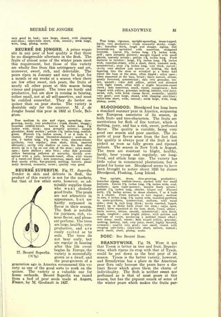 Cyclopedia of Hardy Fruits; by U. P. Hedrick (1922) 