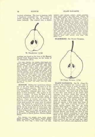 Cyclopedia of Hardy Fruits; by U. P. Hedrick (1922) 