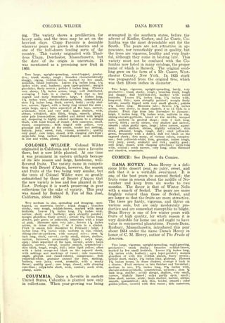 Cyclopedia of Hardy Fruits; by U. P. Hedrick (1922) 