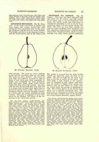Cyclopedia of Hardy Fruits; by U. P. Hedrick (1922) 