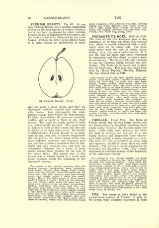 Cyclopedia of Hardy Fruits; by U. P. Hedrick (1922) 
