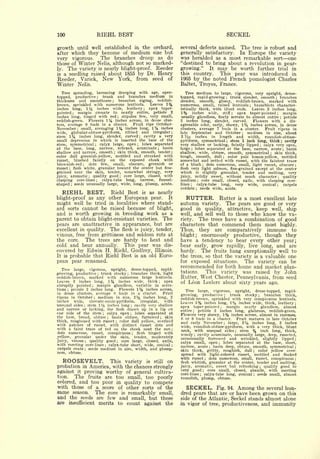 Cyclopedia of Hardy Fruits; by U. P. Hedrick (1922) 