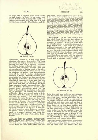 Cyclopedia of Hardy Fruits; by U. P. Hedrick (1922) 