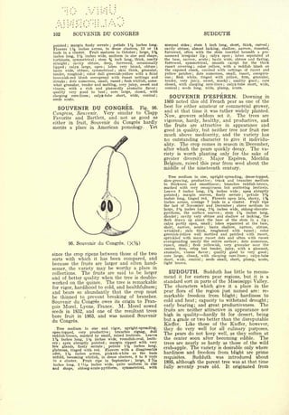Cyclopedia of Hardy Fruits; by U. P. Hedrick (1922) 