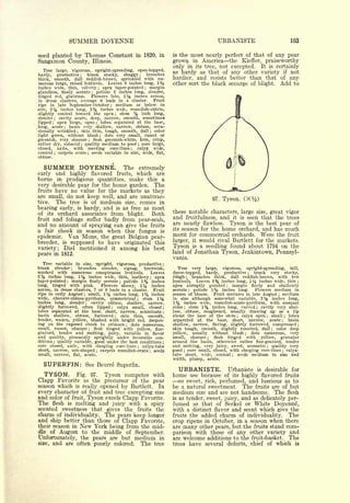 Cyclopedia of Hardy Fruits; by U. P. Hedrick (1922) 