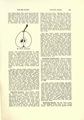 Cyclopedia of Hardy Fruits; by U. P. Hedrick (1922) 