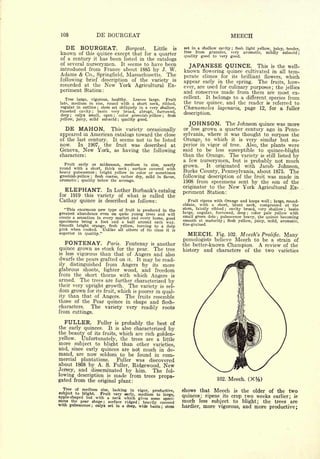 Cyclopedia of Hardy Fruits; by U. P. Hedrick (1922) 