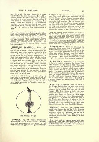 Cyclopedia of Hardy Fruits; by U. P. Hedrick (1922) 