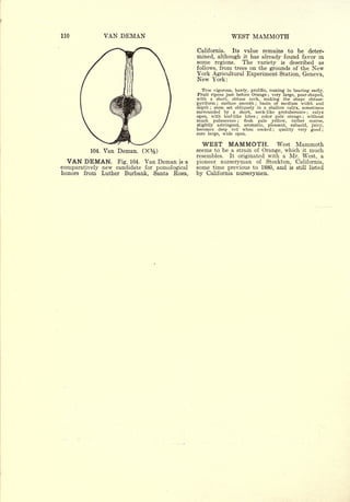 Cyclopedia of Hardy Fruits; by U. P. Hedrick (1922) 