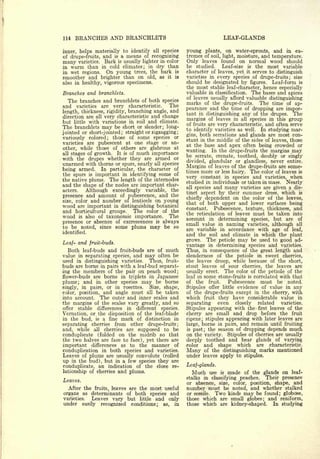 Cyclopedia of Hardy Fruits; by U. P. Hedrick (1922) 