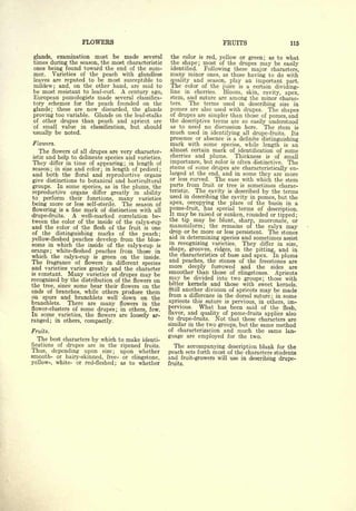 Cyclopedia of Hardy Fruits; by U. P. Hedrick (1922) 