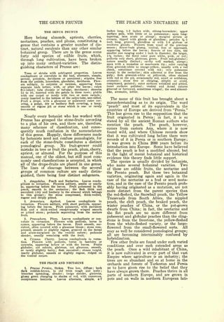 Cyclopedia of Hardy Fruits; by U. P. Hedrick (1922) 