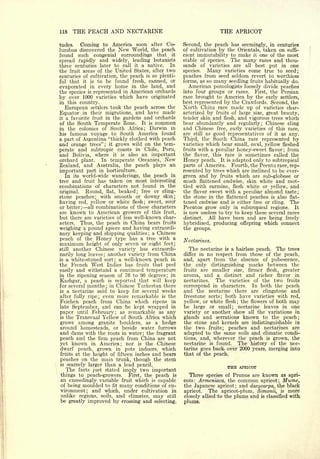 Cyclopedia of Hardy Fruits; by U. P. Hedrick (1922) 