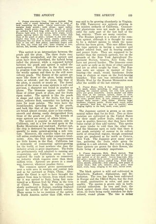 Cyclopedia of Hardy Fruits; by U. P. Hedrick (1922) 