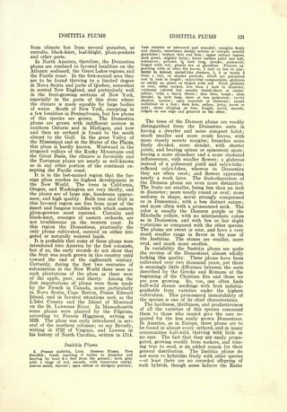 Cyclopedia of Hardy Fruits; by U. P. Hedrick (1922) 