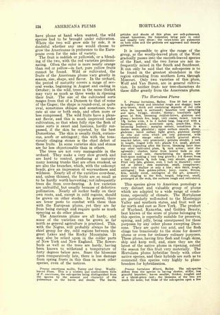 Cyclopedia of Hardy Fruits; by U. P. Hedrick (1922) 