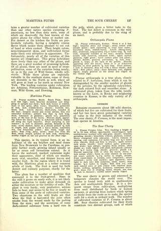 Cyclopedia of Hardy Fruits; by U. P. Hedrick (1922) 