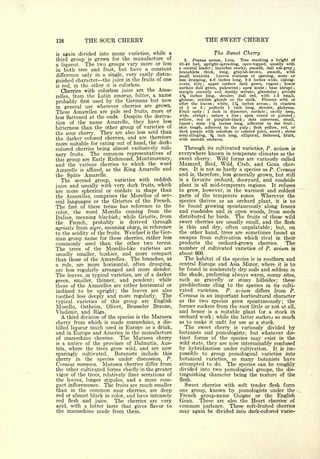 Cyclopedia of Hardy Fruits; by U. P. Hedrick (1922) 