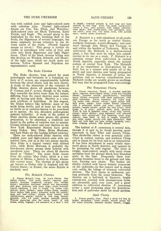 Cyclopedia of Hardy Fruits; by U. P. Hedrick (1922) 