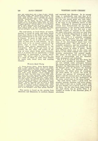 Cyclopedia of Hardy Fruits; by U. P. Hedrick (1922) 