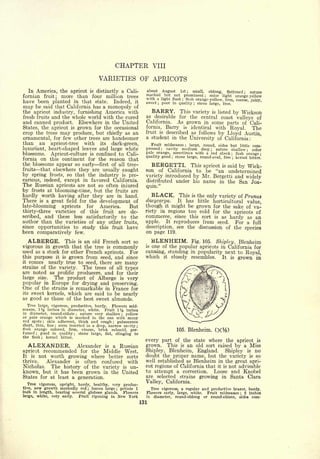 Cyclopedia of Hardy Fruits; by U. P. Hedrick (1922) 