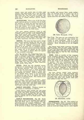Cyclopedia of Hardy Fruits; by U. P. Hedrick (1922) 