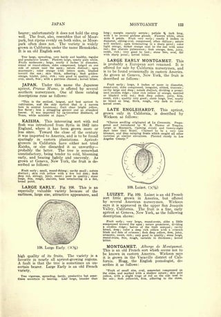 Cyclopedia of Hardy Fruits; by U. P. Hedrick (1922) 