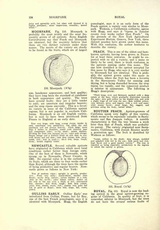 Cyclopedia of Hardy Fruits; by U. P. Hedrick (1922) 