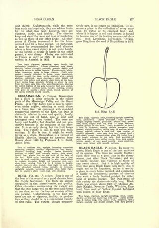 Cyclopedia of Hardy Fruits; by U. P. Hedrick (1922) 