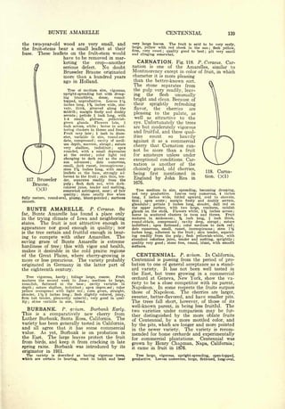 Cyclopedia of Hardy Fruits; by U. P. Hedrick (1922) 
