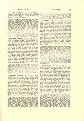 Cyclopedia of Hardy Fruits; by U. P. Hedrick (1922) 