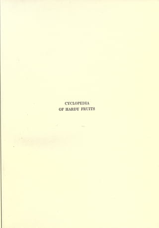 CYCLOPEDIA
OF HARDY FRUITS
 
