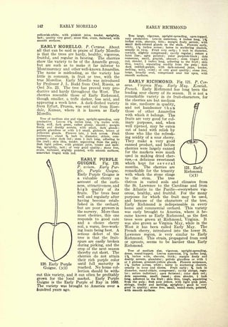 Cyclopedia of Hardy Fruits; by U. P. Hedrick (1922) 