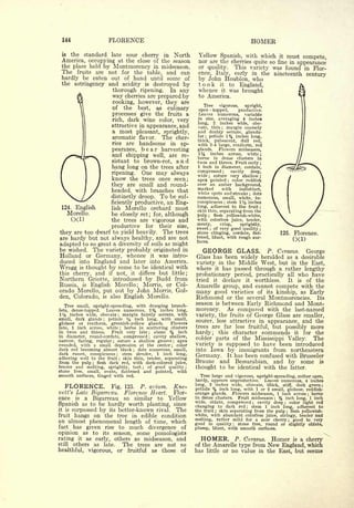 Cyclopedia of Hardy Fruits; by U. P. Hedrick (1922) 