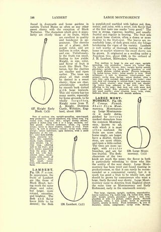 Cyclopedia of Hardy Fruits; by U. P. Hedrick (1922) 