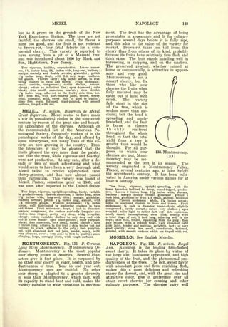 Cyclopedia of Hardy Fruits; by U. P. Hedrick (1922) 
