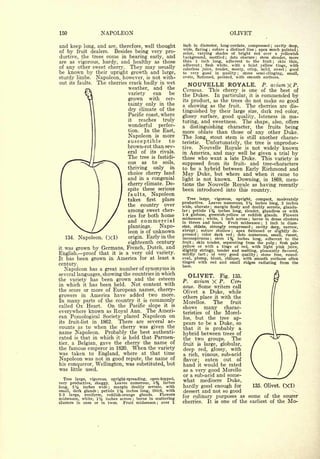 Cyclopedia of Hardy Fruits; by U. P. Hedrick (1922) 