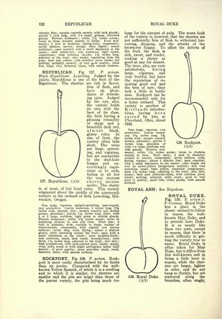 Cyclopedia of Hardy Fruits; by U. P. Hedrick (1922) 