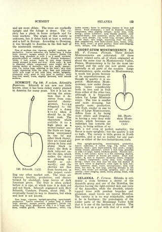 Cyclopedia of Hardy Fruits; by U. P. Hedrick (1922) 