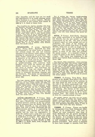 Cyclopedia of Hardy Fruits; by U. P. Hedrick (1922) 