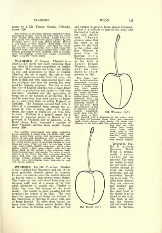 Cyclopedia of Hardy Fruits; by U. P. Hedrick (1922) 
